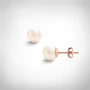 Kép 1/5 - Bernadotte Jewellery Universe Glamour fülbevaló rosegold